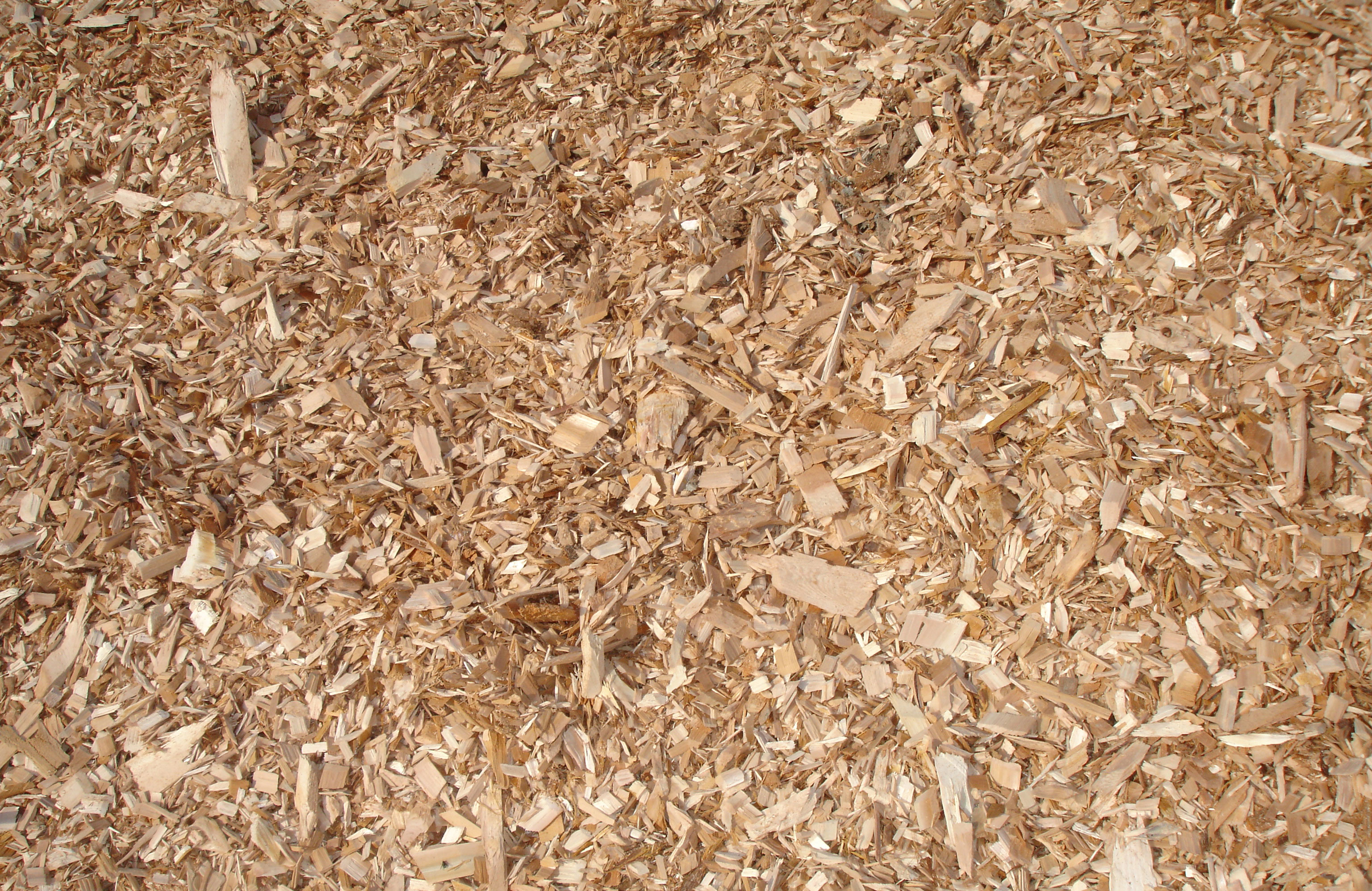 Eastern Cedar Wood Chips