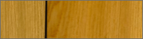 Max Sealer&trade; Natural Tone